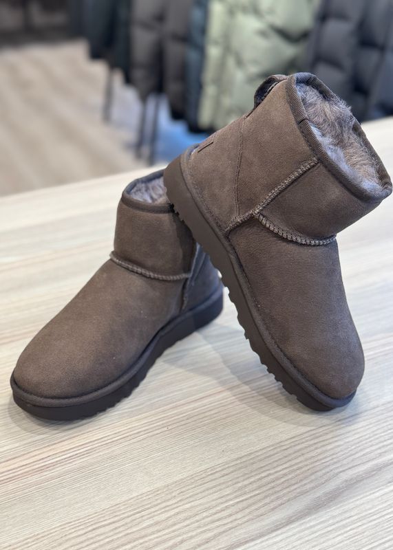 UGG - W Classic Mini II Dusted Cocoa